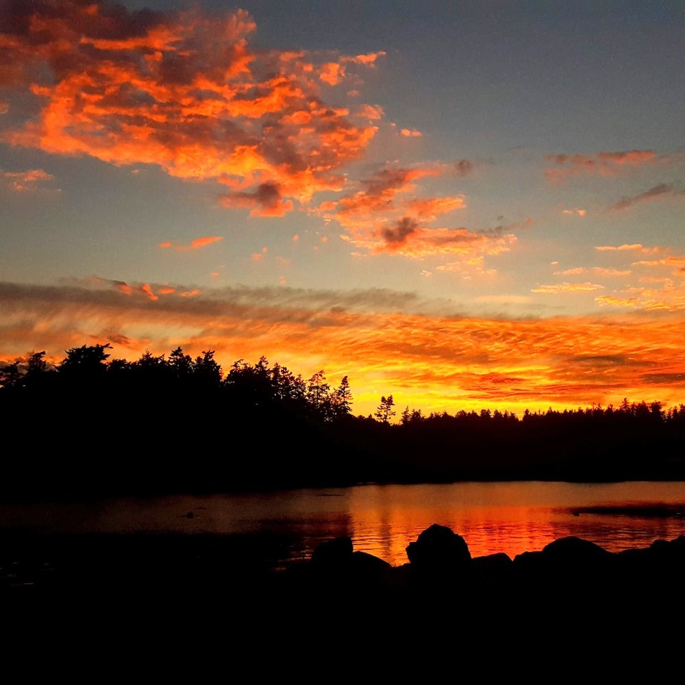 Meet your Posher, Mia Falme!